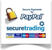 secure paypal